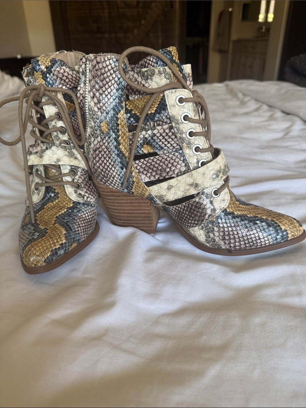 Steve Madden Snake-Print Lace-Up Ankle Boots in Neutral Multicolor
